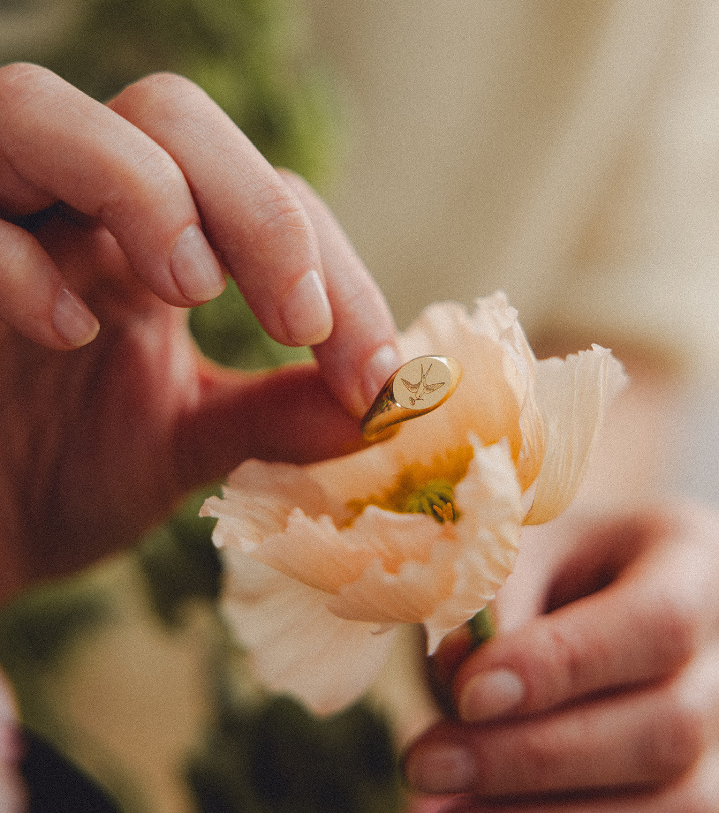 Pozłacany sygnet z jaskółką