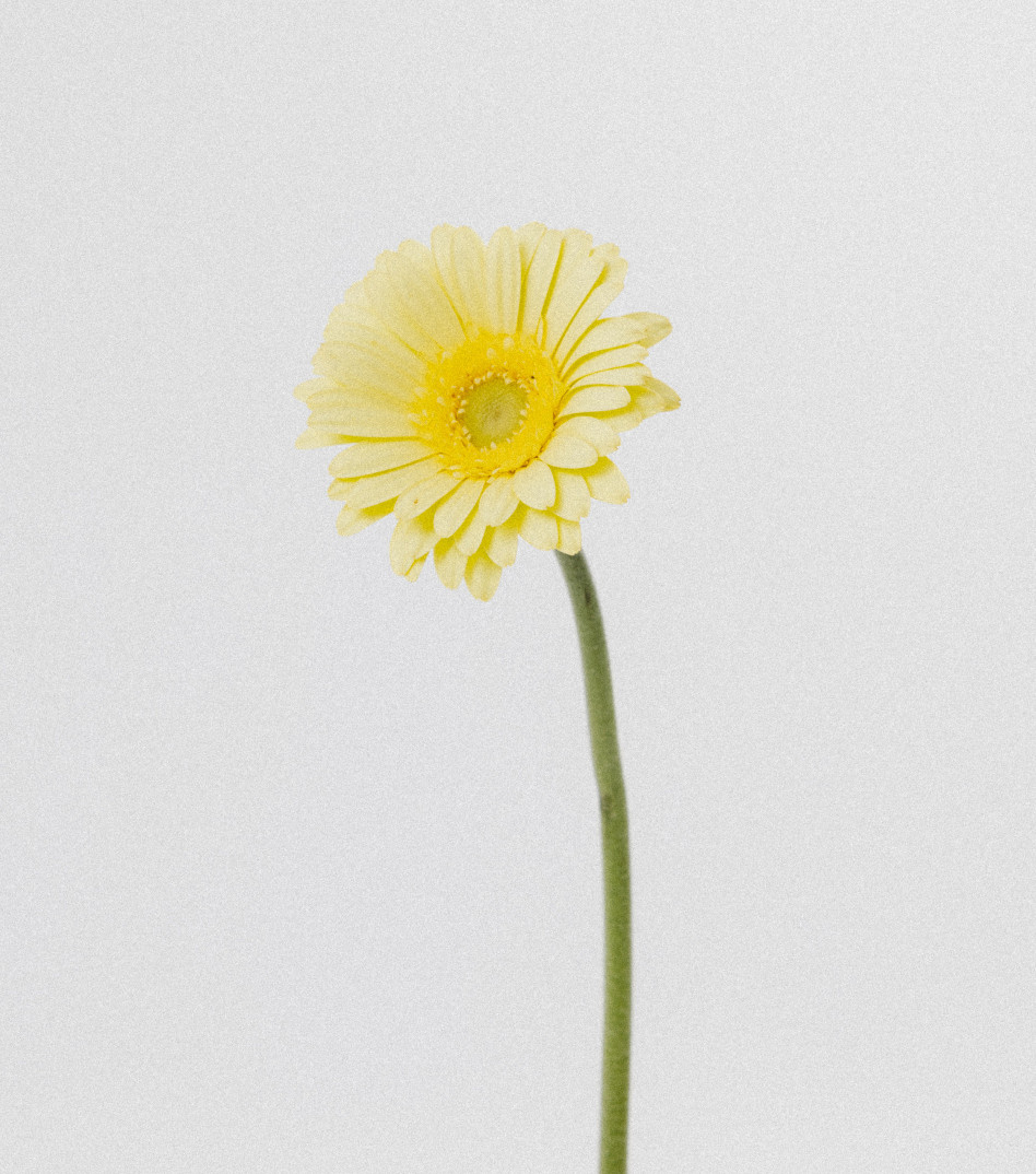 Pozłacany naszyjnik z sekretnikiem