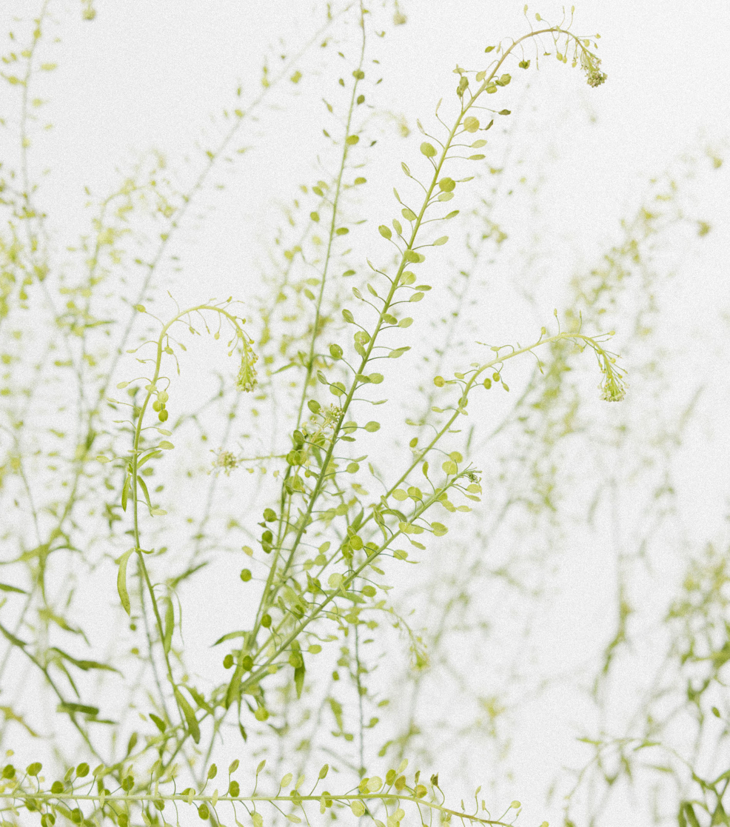 Pozłacany naszyjnik z kamieniami