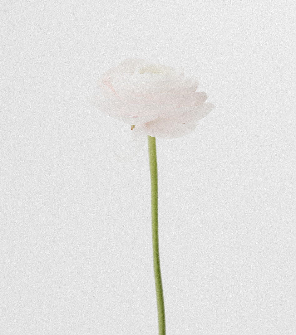 Pozłacana bransoletka z kamieniami i zawieszką