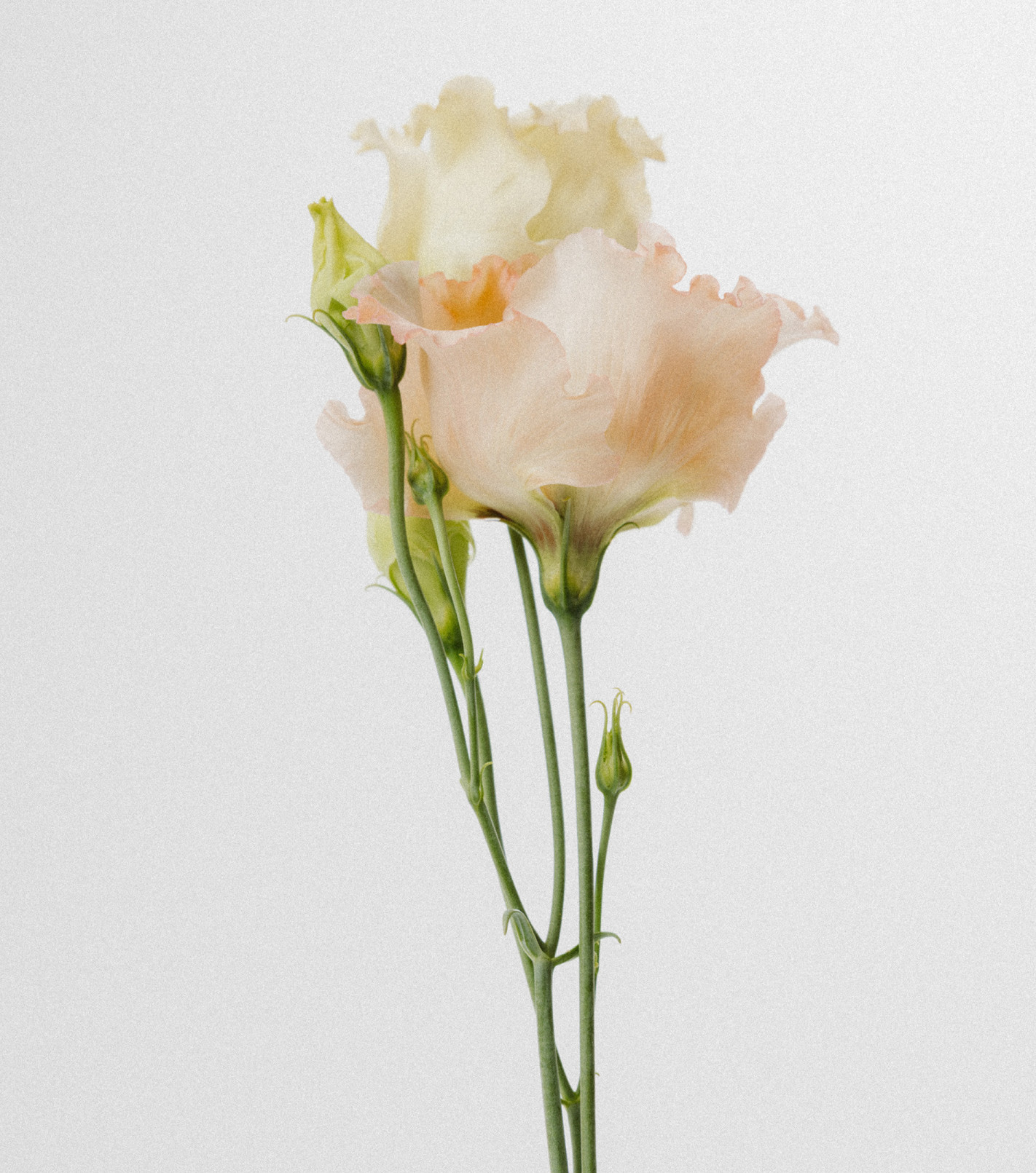 Pozłacana bransoletka z kamieniami i zawieszką