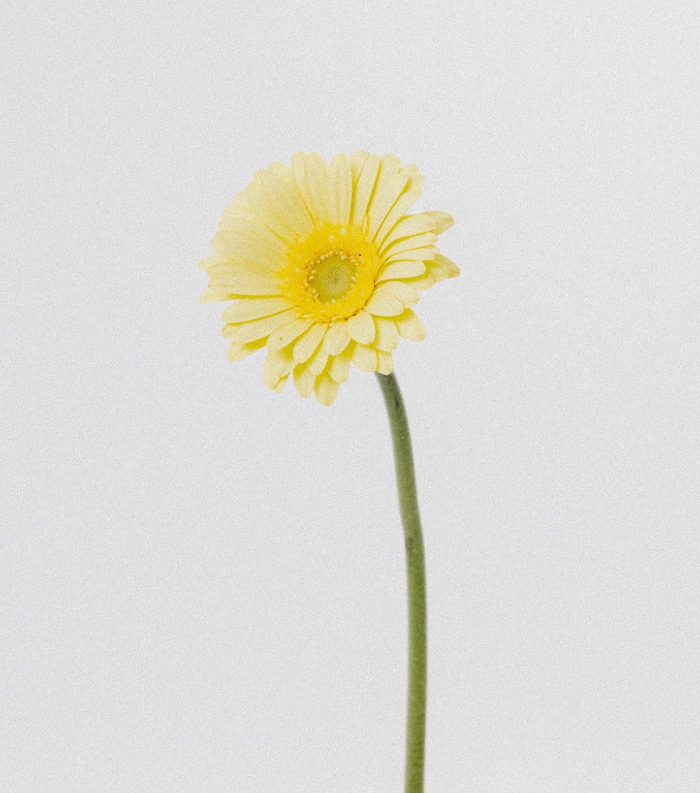 Zawieszka pozłacana