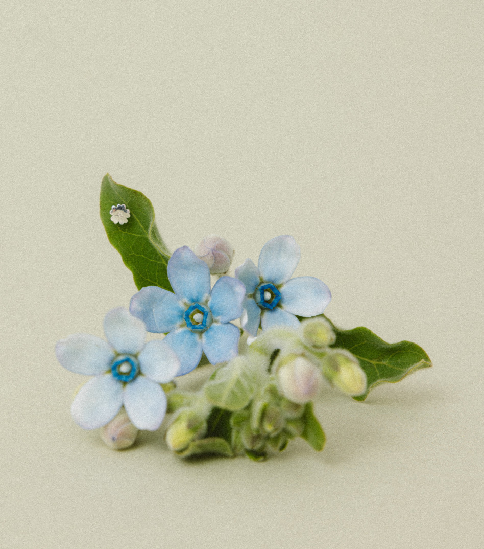 Srebrny kolczyk sztyft mini kwiat