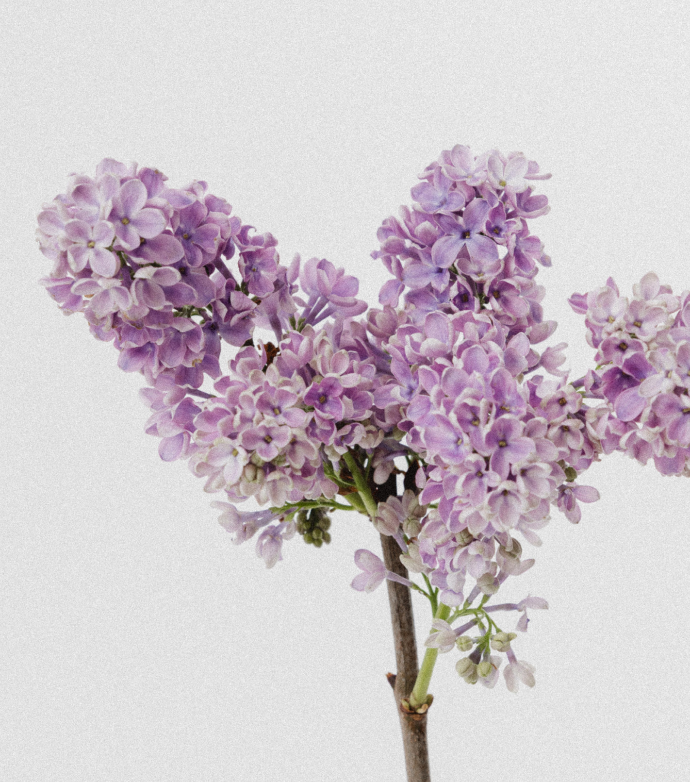 Srebrna bransoletka z kamieniami