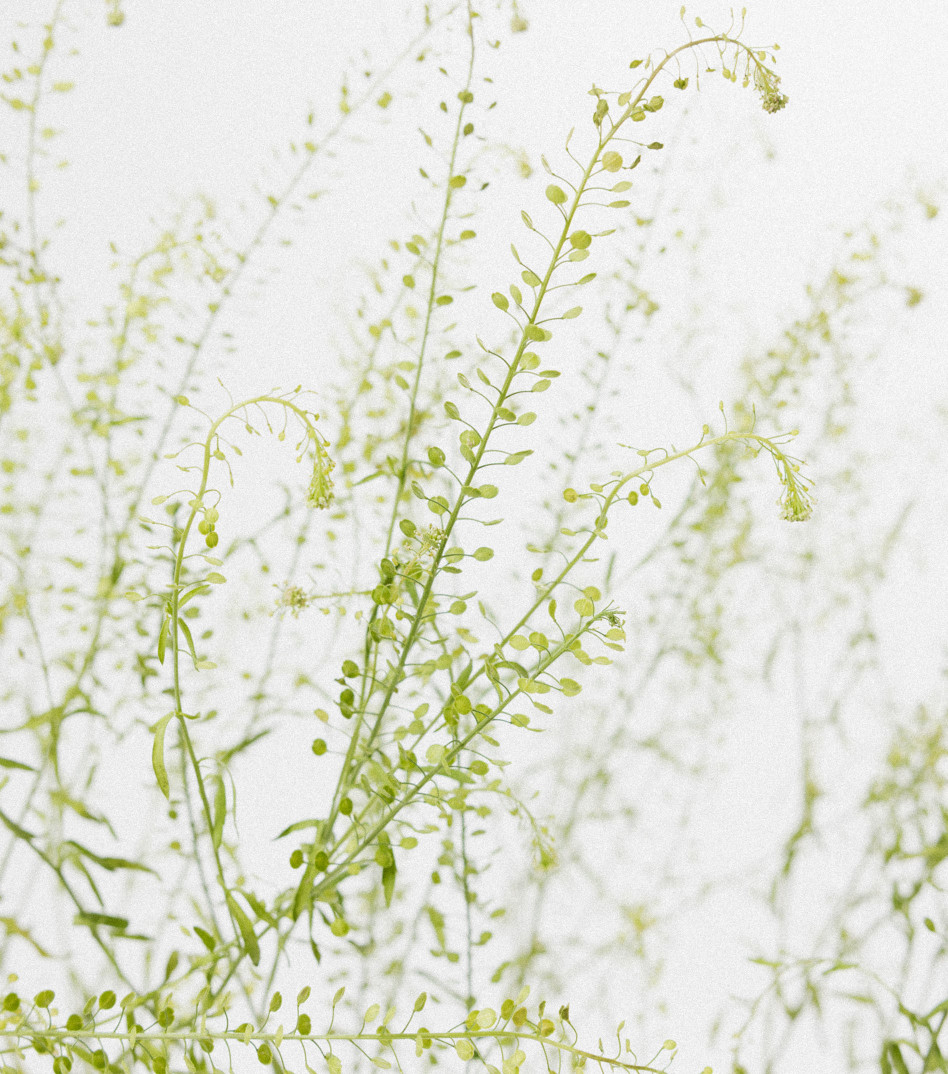 Srebrny naszyjnik z kamieniami