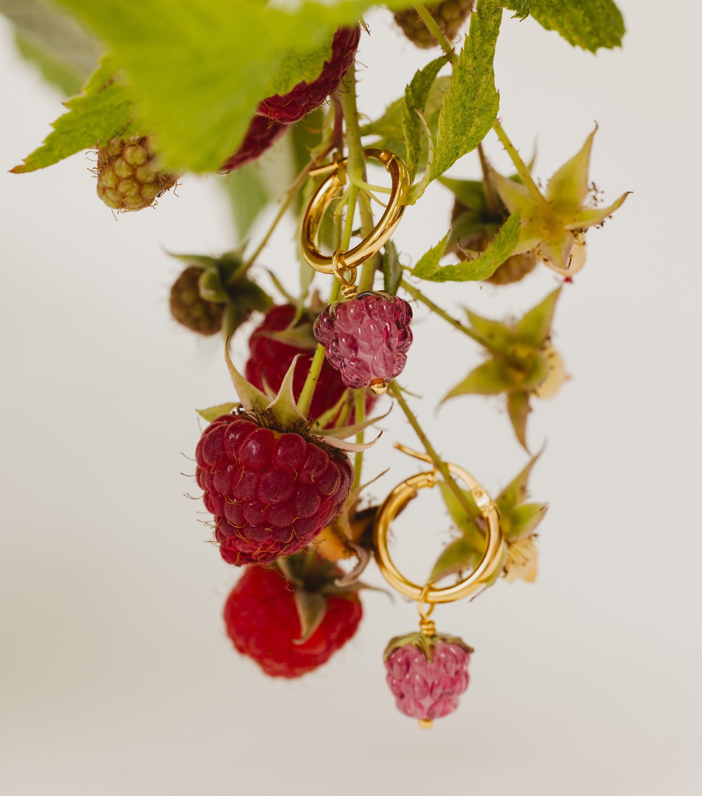 Berry Love Hoop Earrings in Gold