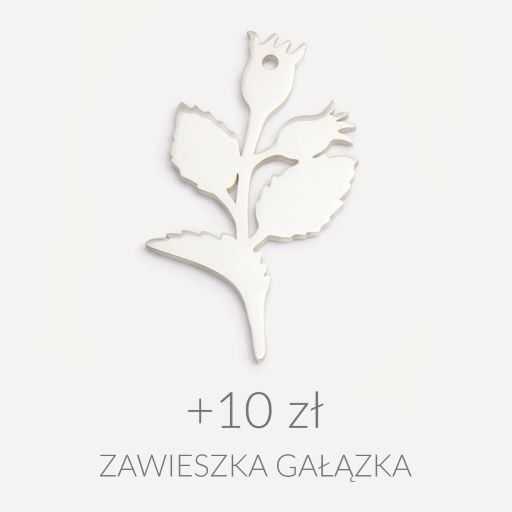 Wild rose branch (+10 zł)