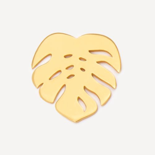 Monstera
