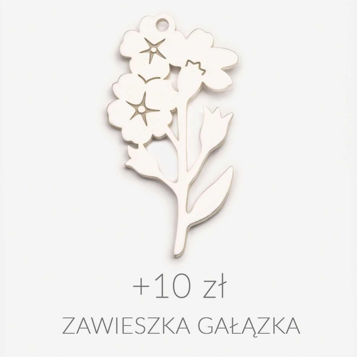 Gałązka niezapominajki - przyjaźń (+10 zł)