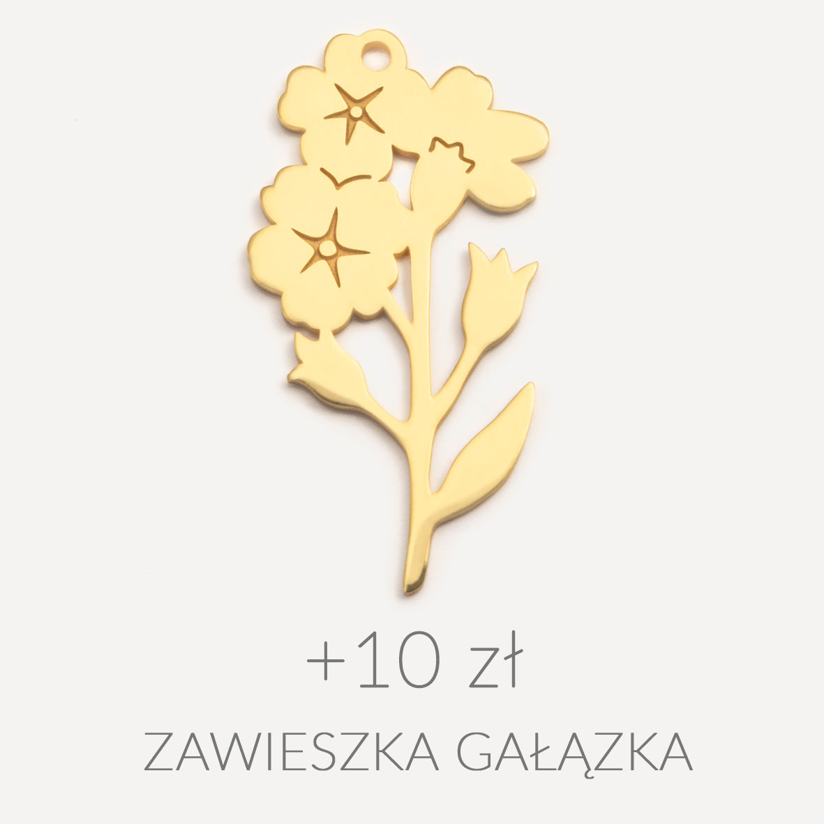 Gałązka niezapominajki - przyjaźń (+10 zł)